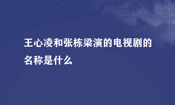 王心凌和张栋梁演的电视剧的名称是什么