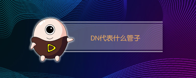 DN代表什么管子