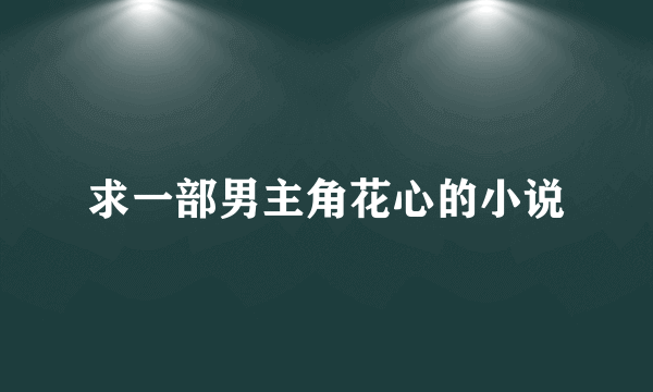 求一部男主角花心的小说