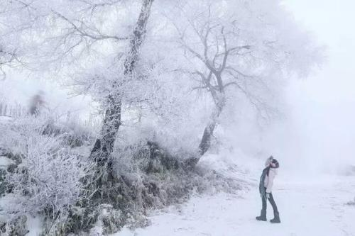 黑龙江漠河5月飞雪，这种天气在当地正常吗？