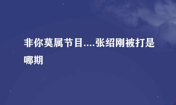 非你莫属节目....张绍刚被打是哪期