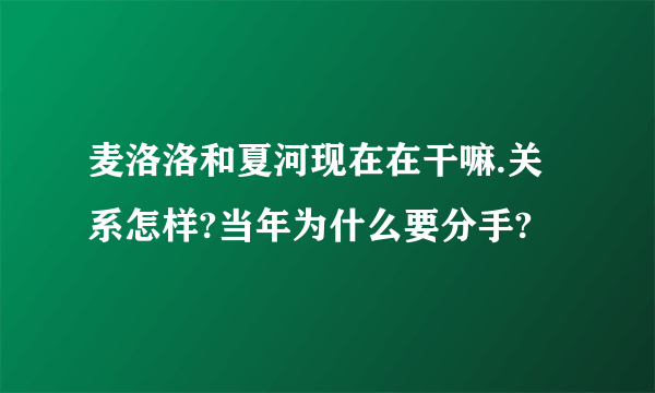 麦洛洛和夏河现在在干嘛.关系怎样?当年为什么要分手?