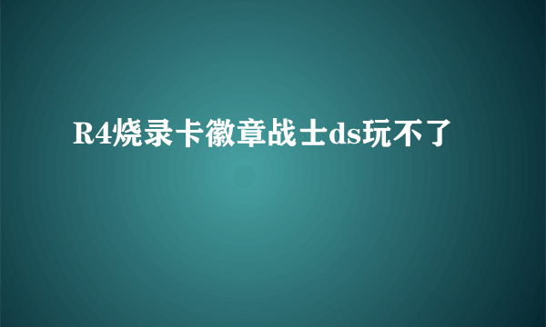 R4烧录卡徽章战士ds玩不了