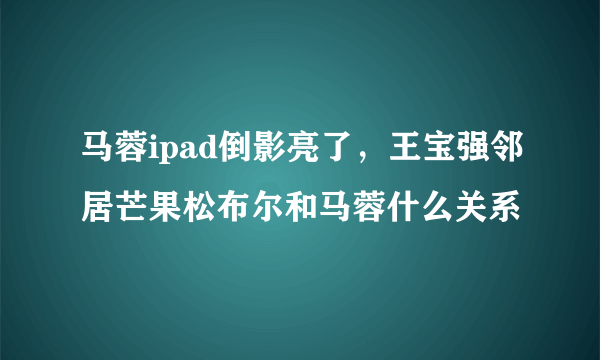 马蓉ipad倒影亮了，王宝强邻居芒果松布尔和马蓉什么关系