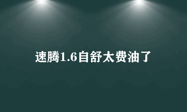 速腾1.6自舒太费油了