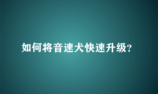 如何将音速犬快速升级？