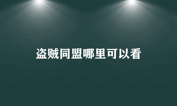 盗贼同盟哪里可以看