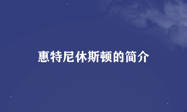 惠特尼休斯顿的简介