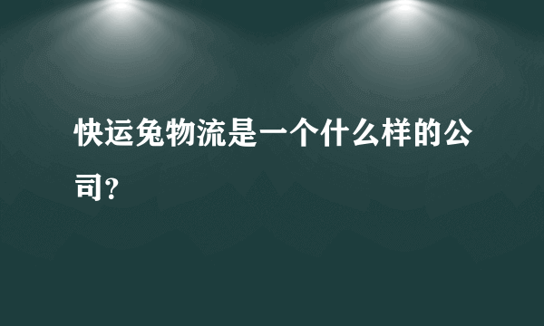 快运兔物流是一个什么样的公司？