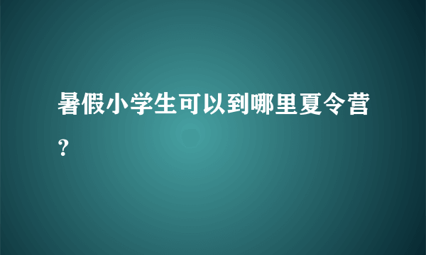 暑假小学生可以到哪里夏令营？