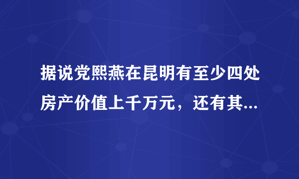 据说党熙燕在昆明有至少四处房产价值上千万元，还有其他房产吗？