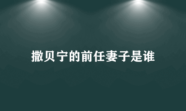 撒贝宁的前任妻子是谁