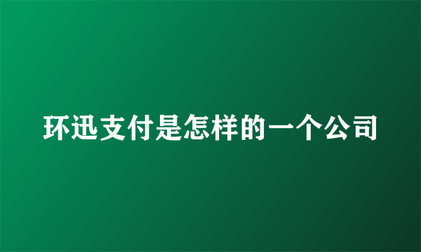 环迅支付是怎样的一个公司