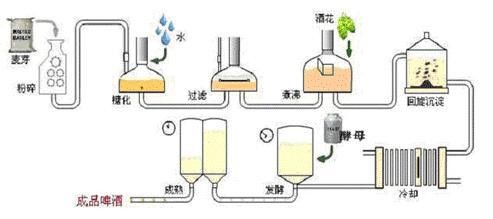 啤酒的酿造工艺流程是什么？