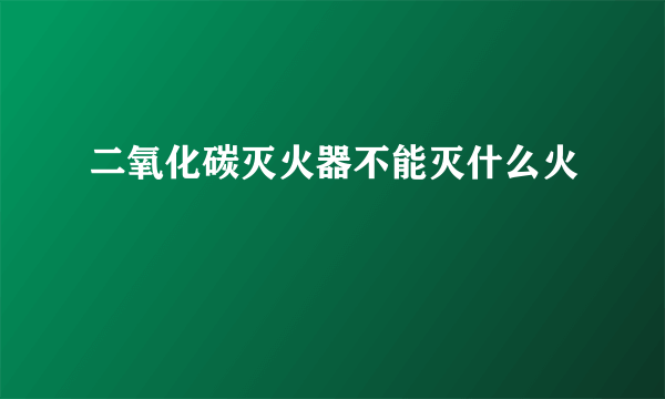 二氧化碳灭火器不能灭什么火