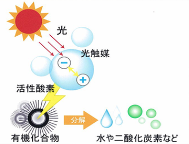 怎么去除新房装修后的味道