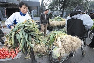 大葱批发价较上月涨超50%，导致大葱涨价的原因是什么？