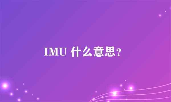 IMU 什么意思？