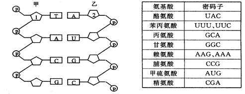 请问一下TAC是什么意思啊