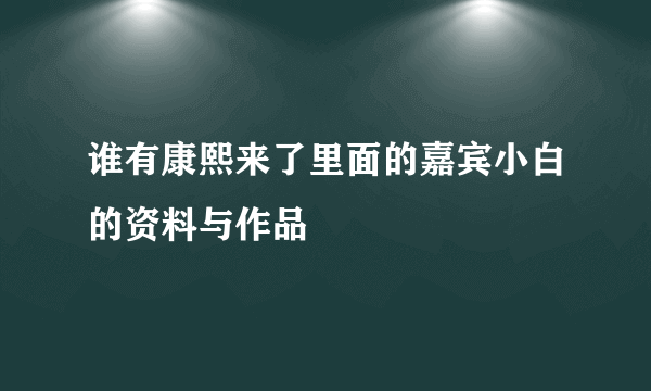 谁有康熙来了里面的嘉宾小白的资料与作品