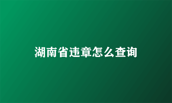 湖南省违章怎么查询