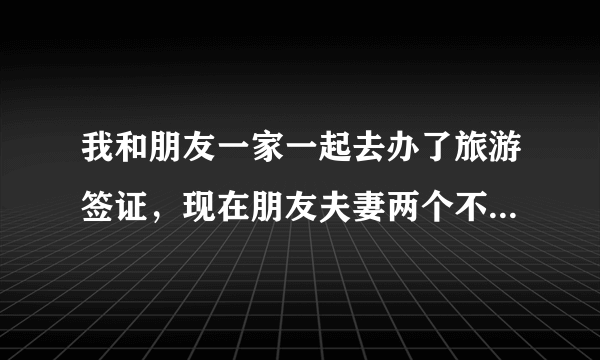 我和朋友一家一起去办了旅游签证，现在朋友夫妻两个不去了，要我带小孩出去，可以吗？