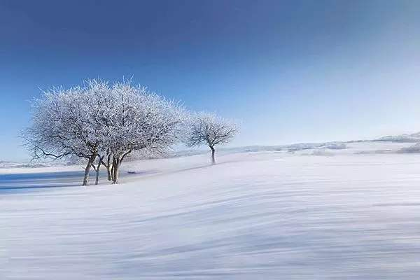 全国初雪时间表出炉，去哪里遇雪概率高？