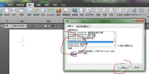 word2010里如何公式编辑器