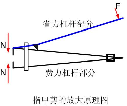 指甲剪的杠杆原理图，