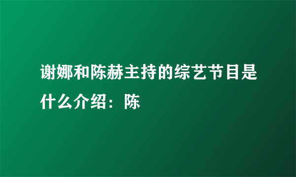 谢娜和陈赫主持的综艺节目是什么介绍：陈