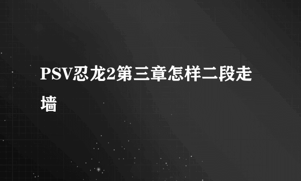 PSV忍龙2第三章怎样二段走墙