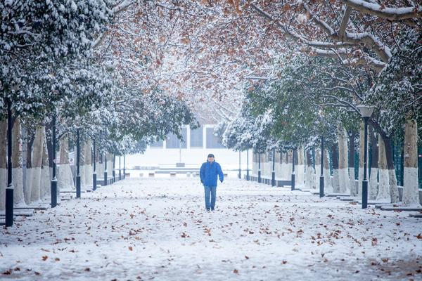 全国初雪时间表出炉，去哪里遇雪概率高？