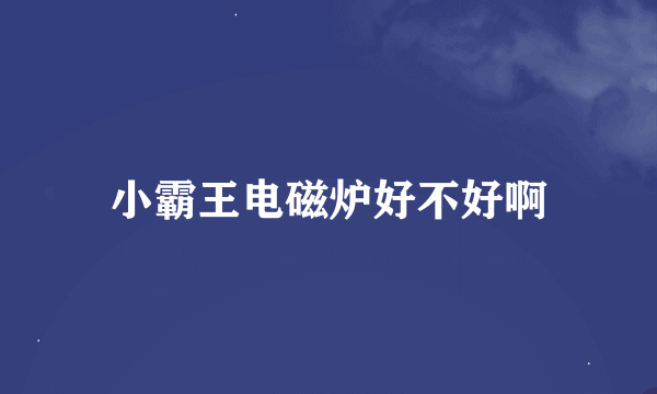 小霸王电磁炉好不好啊