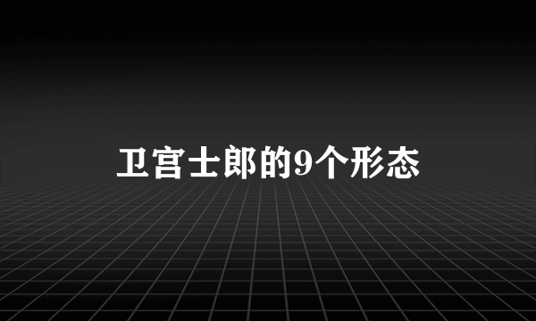 卫宫士郎的9个形态