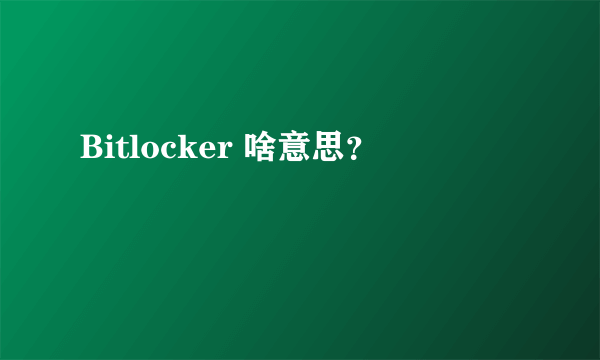 Bitlocker 啥意思？