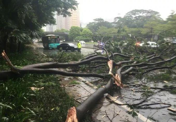 江苏14级大风吹动飞机转圈，这场大风是否有造成人员伤亡？