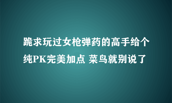 跪求玩过女枪弹药的高手给个纯PK完美加点 菜鸟就别说了