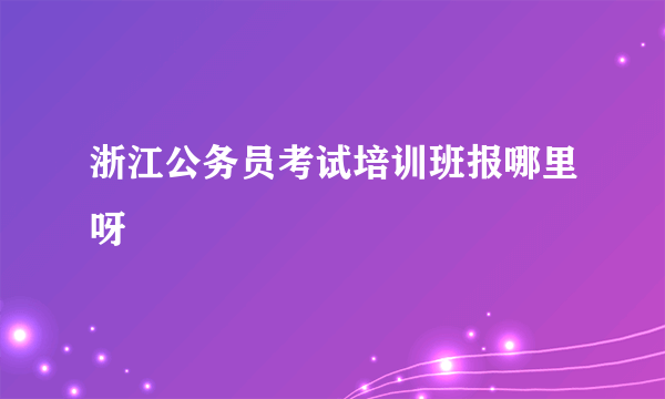 浙江公务员考试培训班报哪里呀