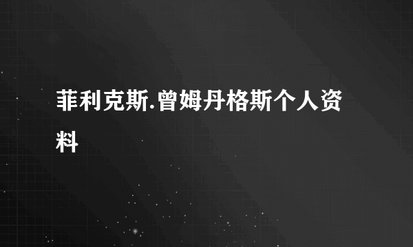 菲利克斯.曾姆丹格斯个人资料