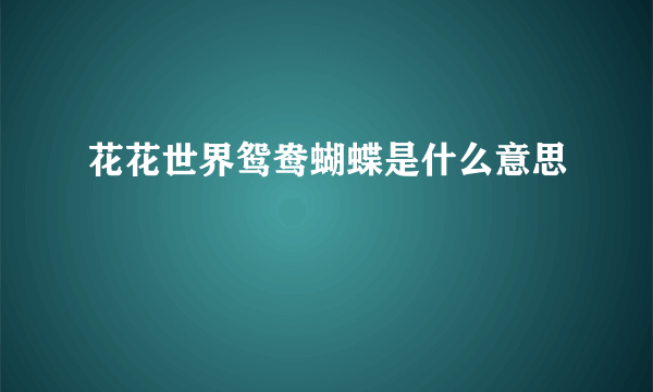 花花世界鸳鸯蝴蝶是什么意思