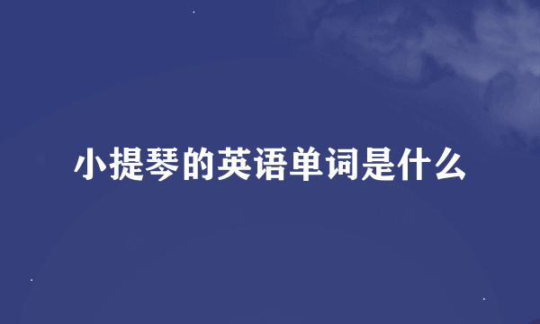 小提琴的英语单词是什么