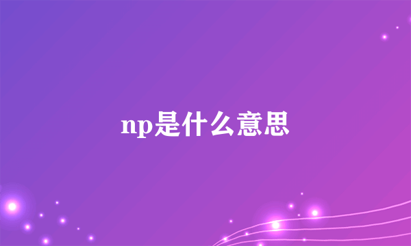 np是什么意思