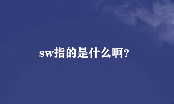 sw指的是什么啊？