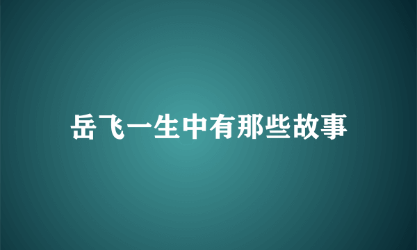 岳飞一生中有那些故事