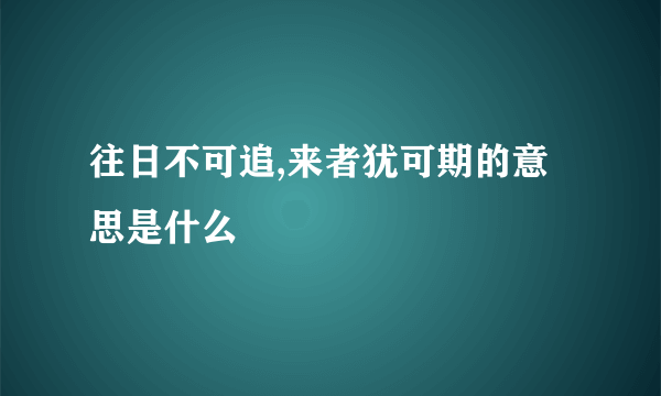 往日不可追,来者犹可期的意思是什么