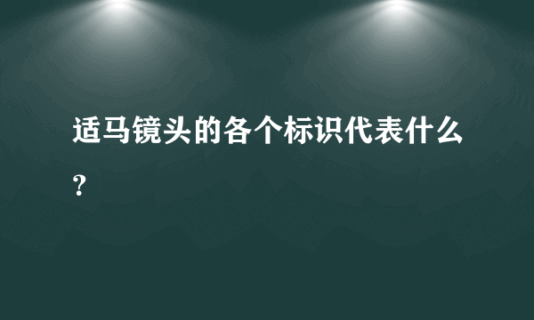 适马镜头的各个标识代表什么？