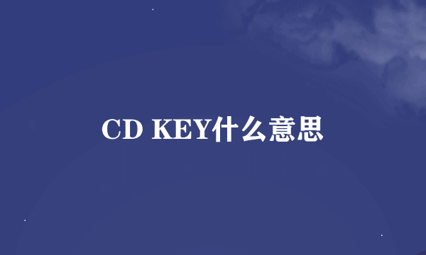 CD KEY什么意思