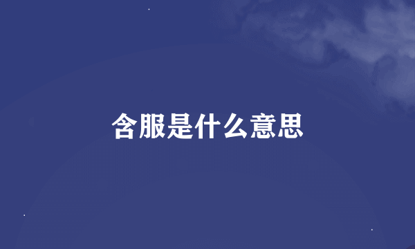 含服是什么意思