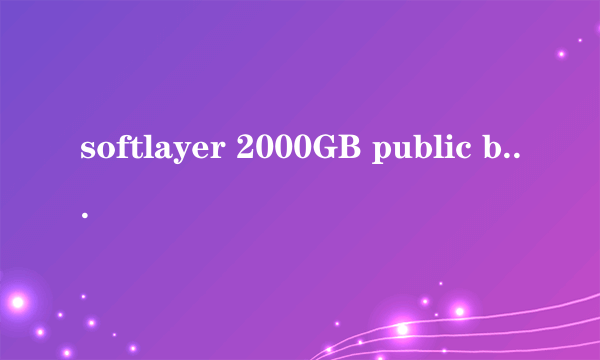 softlayer 2000GB public bandwidth是指什么？