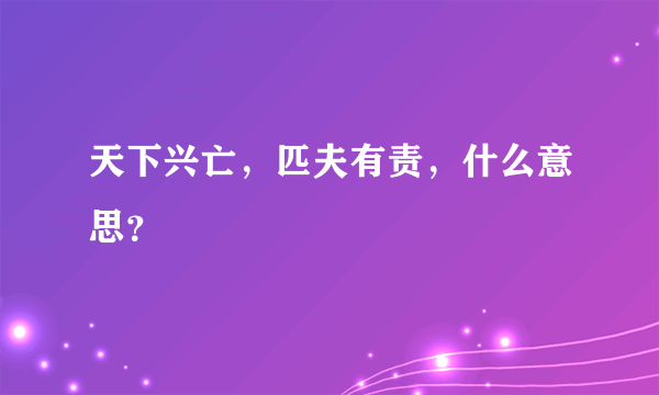 天下兴亡，匹夫有责，什么意思？